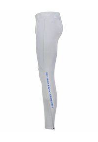 Leggings sportivi grigi con un design aderente, caratterizzati dal marchio blu "UNDER ARMOUR" sul lato e da una cerniera alla caviglia per regolarità.