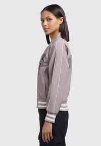 Blouson bomber gris clair avec des poignets et un ourlet côtelés, présentant des rayures blanches et un détail brodé sur le côté gauche de la poitrine. Texture lisse.