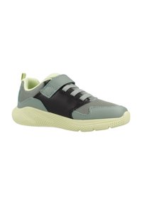 Geox SPRINTYE - Zapatos de bebé - grün