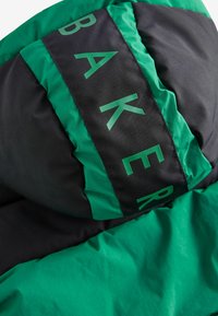 Baker by Ted Baker Žieminė striukė - green