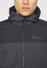 Jack Wolfskin JASPER INS M - Vinterjakker - phantom