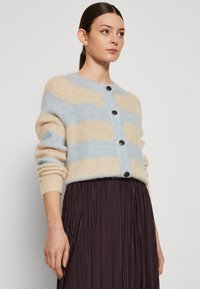 Selected Femme SLFLULU CARDIGAN - Kardigán - birch/blue