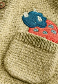Next REGULAR FIT - Chaqueta de punto - green dinosaur