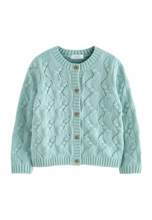 Cárdigan de punto azul claro con patrones de trenzas y bolitas, cuello redondo, puños y dobladillo acanalados, y cinco botones marrones en la parte delantera.