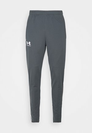 Sportieve broek in houtskoolgrijs van lichtgewicht stof, met een elastische tailleband, taps toelopende pijpen en een logo-accent nabij de zak.