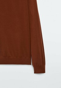 Brown knitted sweater with long sleeves, ribbed cuffs and hem, made from soft, stretchy material, featuring a smooth texture and fitted design.