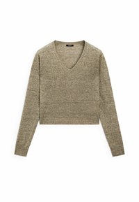 Pull court à manches longues en beige avec un décolleté en V. Fabriqué à partir d'un tissu en maille texturée, avec des variations de couleur subtiles.