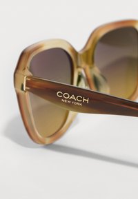 Kočičí sluneční brýle ve velkém formátu s hnědými gradientovými skly a logem "COACH NEW YORK" na straně, vystavené na bílé ploše.