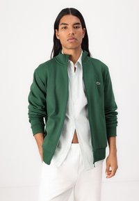 Sweatshirt verde cu fermoar și guler înalt, cu manșete ribbate și un logo mic pe piept, purtat peste o cămașă în dungi deschise și pantaloni albi.