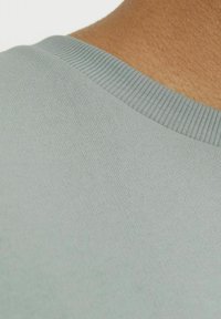 Lichtgrijze gebreide shirt met een geribbelde ronde halslijn, die een soepele textuur en minimalistisch ontwerp toont. Close-up van het stofdetail.