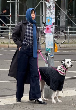 BREE BARN - Manteau classique - black plume