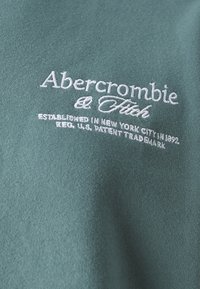 Abercrombie & Fitch Logo Crew Sweatshirt - Ikdienas džemperis - silver pine