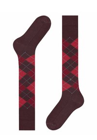 Burlington PRESTON - Kniekousen - claret
