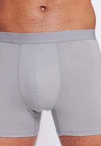 Boxer di colore grigio realizzati in tessuto morbido con una texture liscia, dotati di una fascia in vita comoda e di un design aderente.