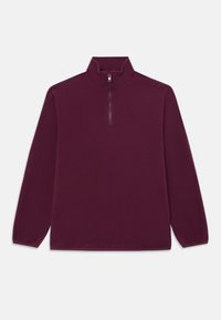 Pullover in fleece color bordeaux con colletto alto, chiusura a mezza zip, maniche lunghe e un logo sottile nella parte alta al centro. Texture morbida e liscia.