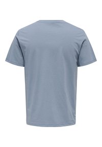 Lichtblaues T-Shirt mit rundem Ausschnitt, kurzen Ärmeln und geradem Saum. Hergestellt aus weichem Stoff mit glatter Textur. Keine Muster oder Akzente.