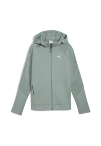 Lichtgroene, met ritssluiting uitgeruste hoodie met een gladde textuur, een capuchon met trekkoord en zijzakken. Heeft een subtiel logo op de borst en mouwen met een patroon.