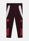 FC BAYERN TIRO 24 KIDS - Vereinsmannschaften - shadow maroon/red