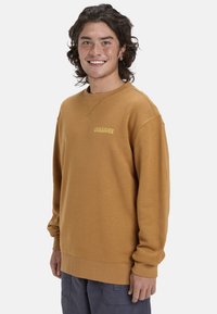 Felpa marrone in morbido tessuto, con collo rotondo, polsini a coste e un piccolo logo giallo sul petto. Design casual, vestibilità ampia.