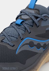 Grå terränglöparsko med blå accenter. Har meshovandel, texturerade detaljer, mönstrade snören och framträdande logotypdetalj på sidan.