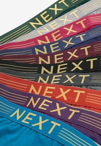 Next TEN PACK - Ozke boksarice - rich colour