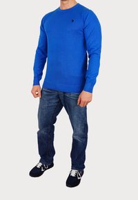 Blauer Baumwollpullover mit Rundhalsausschnitt, gerippten Bündchen und Saum, kombiniert mit verwaschenen blauen Jeans und schwarzen Sportschuhen.