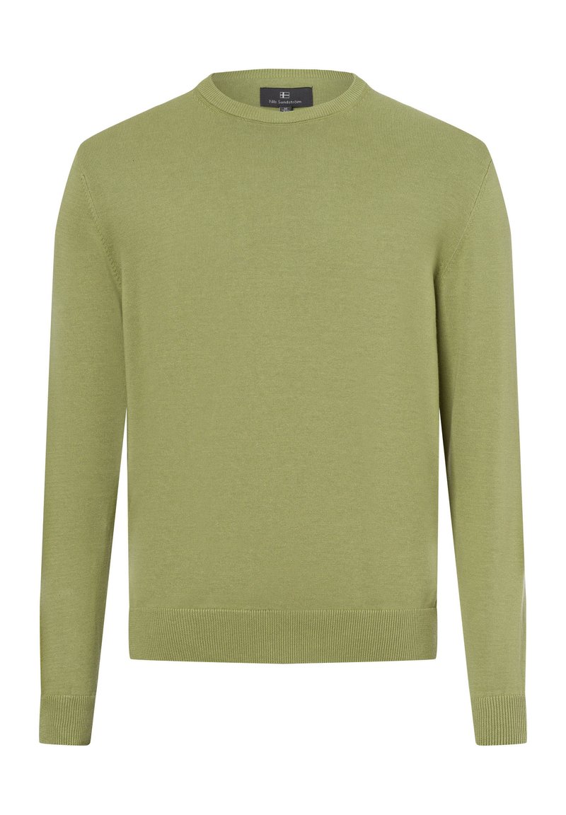 Maglione verde a maglia con collo a giro, maniche lunghe e orli a coste. Texture liscia con design semplice.