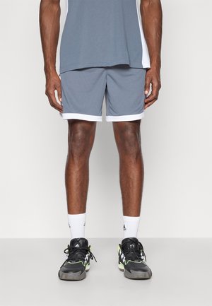 PULSE SPEED  - Sport rövidnadrágok - team onix/white