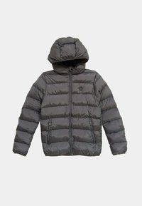 ALTONADOCK Chaqueta de invierno grey/gris