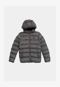 ALTONADOCK Chaqueta de invierno grey/gris - Main Image