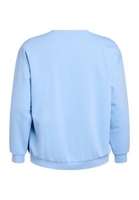 Light blue sweatshirt with long sleeves, round neck, and ribbed cuffs and hem. Soft texture and simple design with no visible patterns.