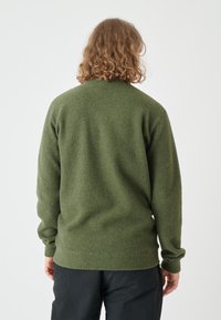 Green wool sweater with long sleeves, round neck, and ribbed cuffs. Soft texture and a relaxed fit, seen from the back.