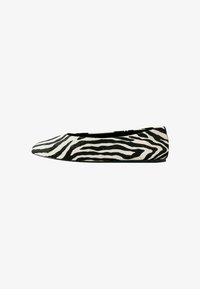 Selected, zebra