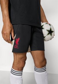 adidas Performance LIVERPOOL FC 25/26 PRO TRAINING SHORTS - Roupa de discoteca - black