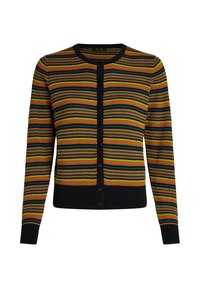 Multikleuren gebreide cardigan met verticale strepen in geel, groen en rood, met een zwarte knopen voorkant en ribgebreide zwarte manchetten.