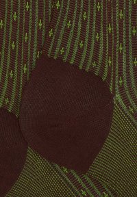 Calzini marroni con motivo a righe verdi, trama a coste e tallone rinforzato. Presentano punta a contrasto e accenti verdi variabili.