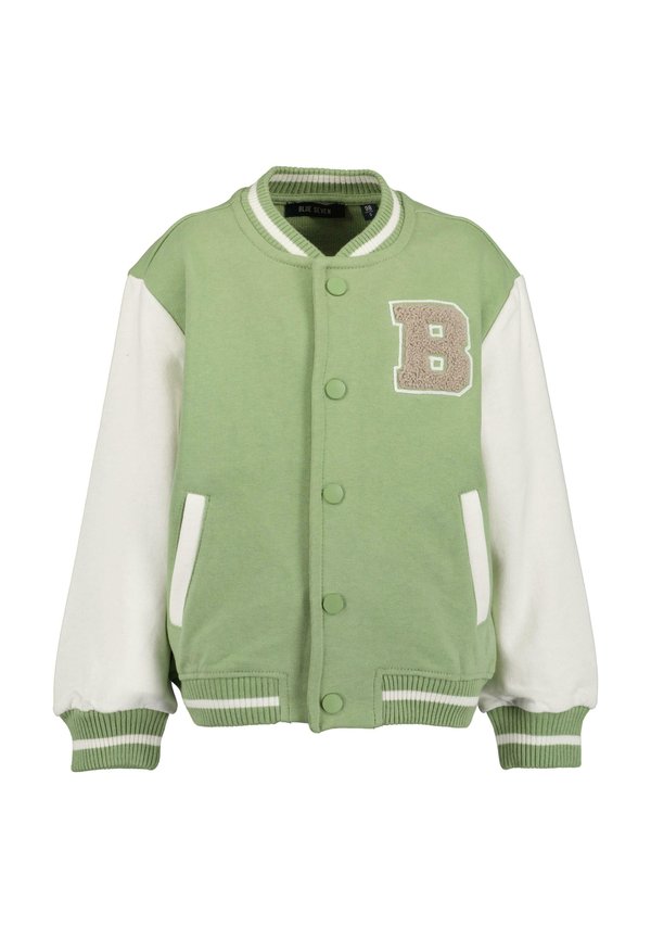 BEACHRIDE - Bomberjacke - khaki