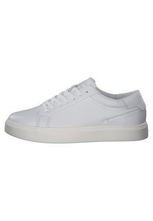 Calvin Klein Baskets basses - white