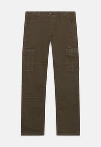 Unselected, dusty olive