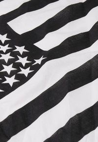 Crno-bijela tkanina s horizontalnim prugama i uzorkom zvijezda, koja nalikuje stiliziranom dizajnu američke zastave. Mekana tekstura.