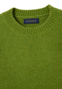 Maglione verde a maglia con collo rotondo a coste. Texture morbida, realizzato in lana, con un'etichetta che riporta la scritta "PIOMBO" in lettere dorate.