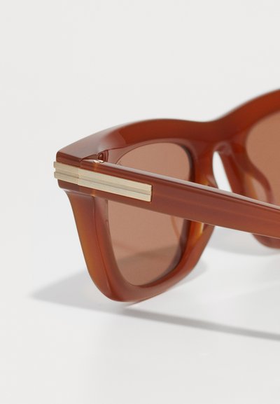 Brown translucent sunglasses with a thick frame, round lenses, and a gold accent on the temple. Smooth texture with a modern shape.