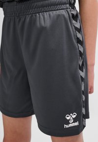 Donkergrijze sportshorts met een gladde textuur, voorzien van zwart-witte chevrons accent aan de zijkanten en een wit logo op de zoom.