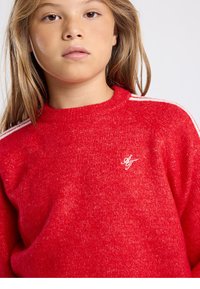 Roter Strickpullover mit strukturierter Oberfläche. Verfügt über weiße Streifen an den Schultern und ein kleines gesticktes Logo auf der Brust. Rundhalsausschnitt.