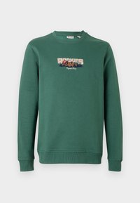 Groene katoen sweater met lange mouwen, ronde hals en een "ROCKIES" grafiek met bergen in oranje en blauwe borduursels.