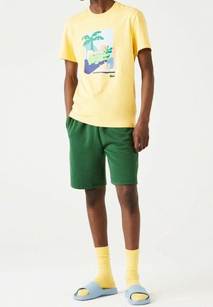 Personne portant un T-shirt graphique jaune, un short vert, des chaussettes jaunes et des sandales slides bleu clair sur fond blanc uni