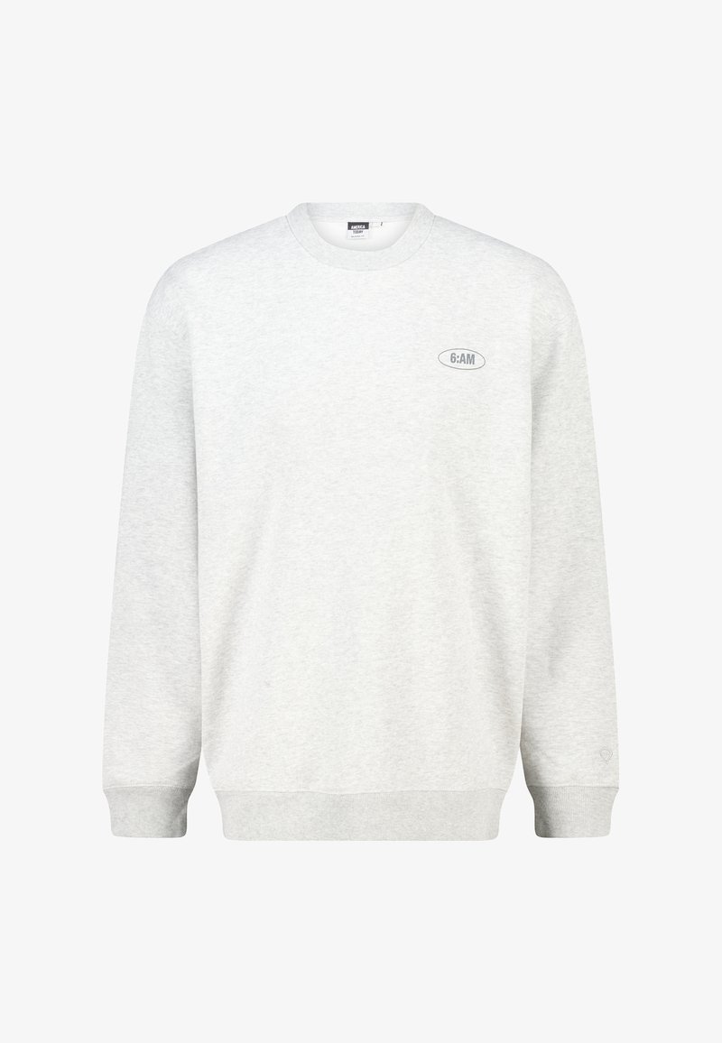 Sweatshirt gris clair en tissu doux. Il présente un col rond, des manches longues et un petit logo imprimé sur la poitrine. Poignets et ourlet côtelés.