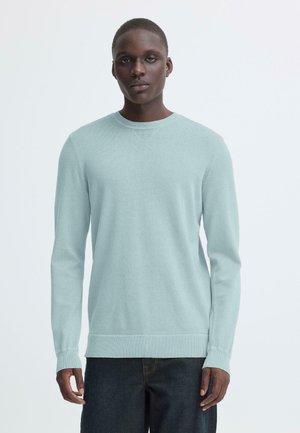 Jonge man met kort haar, gekleed in een lichtblauwe trui met ronde hals en een donkere spijkerbroek, staand tegen een effen witte achtergrond.