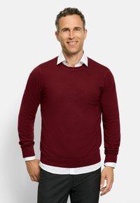 Burgunderfarbener Rundhalsausschnitt-Pullover aus weichem Strickmaterial, mit langen Ärmeln und taillierter Passform, über einem weißen Hemd mit Kragen getragen.