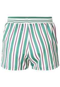 Costumi da bagno a righe verdi e bianche con strisce viola, dotati di una cintura elastica con un dettaglio a righe in contrasto. Tessuto morbido.
